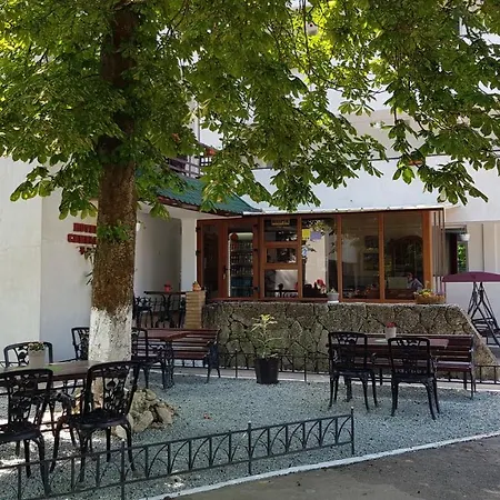 Hotel Camelia 2*