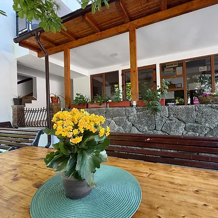 Camelia Hotel Jupiter